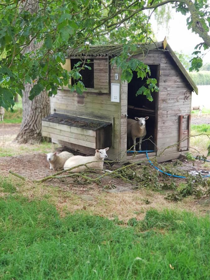 Villa The Cosy Hut Faversham Exterior foto